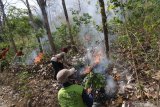 Warga memadamkan api saat simulasi penanganan kebakaran hutan yang diselenggarakan Polresta Kediri di lereng gunung Wilis, Desa Manyaran, Kediri, Jawa Timur, Rabu (14/10/2020). Kegiatan yang melibatkan masyarakat sekitar hutan tersebut sebagai sosialisasi pencegahan kebakaran dan edukasi pentingnya menjaga kelestarian hutan. Antara Jatim/Prasetia Fauzani/zk