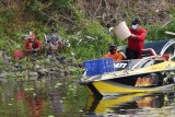 Wali Kota Madiun Maidi menebar ikan lele di Sungai Madiun, Kota Madiun, Jawa Timur, Minggu (18/10/2020). Wali Kota Madiun Maidi bekerjasama dengan komunitas pemancing menebar dua kuintal ikan lele di Sungai Madiun tersebut dimaksudkan untuk memberikan hiburan bagi warga memancing secara gratis guna meningkatkan imunitas dan gizi warganya pada masa pandemi COVID-19. Antara Jatim/Siswowidodo/zk.