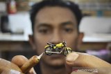 Perajin menyelesaikan pembuatan miniatur sepeda motor di Workshop Andwarz, Kadungora, Kabupaten Garut, Jawa Barat, Senin (19/10/2020). Kerajinan dari bahan PVC foam board, korek kuping, dan limbah plastik tersebut dijual dengan harga Rp150 ribu hingga Rp250 ribu per buah tersebut dijual ke berbagai daerah seperti Bandung, Jakarta, dan Pekanbaru.  ANTARA JABAR/Candra Yanuarsyah/agr