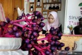 Pemkab Jepara, Jateng kembangkan buah parijotho