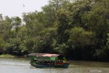 Wisatawan berkunjung di Ekowisata Mangrove Wonorejo, Surabaya, Jawa Timur, Sabtu (24/10/2020). Wisata alam yang berada di pesisir timur Surabaya itu merupakan salah satu destinasi wisata di Surabaya yang banyak dikunjungi wisatawan. Antara Jatim/Didik/Zk