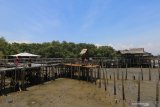 Wisatawan berkunjung di Ekowisata Mangrove Wonorejo, Surabaya, Jawa Timur, Sabtu (24/10/2020). Wisata alam yang berada di pesisir timur Surabaya itu merupakan salah satu destinasi wisata di Surabaya yang banyak dikunjungi wisatawan. Antara Jatim/Didik/Zk