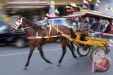 Tingkatkan pendapatan, Lumentut dorong alat angkut tradisional bendi sokong pariwisata Tomohon