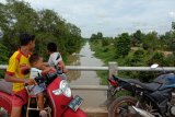 Buaya muncul di Sungai Kota Agung Lampung Timur