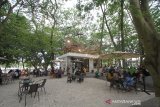 Suasana cafe 101 Coffee di hutan kota di Jalan Lambung Mangkurat, Banjarmasin, Kalimantan Selatan, Minggu (25/10/2020). Cafe yang berkonsep di tengah hutan kota dan dikelola Korem 101/Antasari berkerjasama dengan pihak swasta tersebut ramai dikunjungi warga yang ingin bersantai. Foto Antaranews Kalsel/Bayu Pratama S.