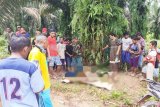 Kisah pilu seorang bocah, ayah yang ditunggu terseret banjir
