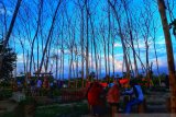 Pemuda di Sigi sulap bekas likuefaksi jadi objek wisata baru