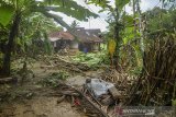 Kebun warga rusak diterjang derasnya air sungai pascabanjir di Desa Sindangrasa, Kabupaten Ciamis, Jawa Barat, Selasa (27/10/2020). Banjir luapan sungai Ciptrahaji dan Cikaso mengakibatkan ratusan rumah warga di tujuh desa, Kecamatan Banjarsari dan Banjaranyar, terendam banjir dan beberapa jembatan putus diterjang derasnya air sungai. ANTARA JABAR/Adeng Bustomi/agr