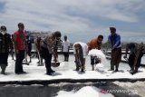 Belasan ribu ton garam di NTT belum terjual