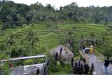 Wisatawan domestik berfoto dengan latar belakang pemandangan pedesaan sawah berundak (terasering) di persawahan Ceking, Tegallalang, Gianyar, Bali, Rabu (28/10/2020). Sejumlah objek wisata di Pulau Dewata mulai dikunjungi wisatawan domestik dari berbagai daerah yang memanfaatkan masa cuti bersama dan libur panjang Maulid Nabi Muhammad SAW. ANTARA FOTO/Fikri Yusuf/nym.