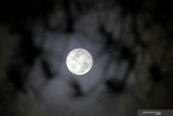 Lapan: Blue moon dapat  diamati di seluruh Indonesia pada 22 Agustus