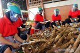 Bertahan dan bangkit kembali di tengah badai  pandemi