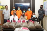 Empat WN PNG ditangkap bawa 10 kg ganja ke kota Jayapura