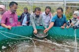 Two fish cultivator groups in Tanjungraya Agam received biofloc pond