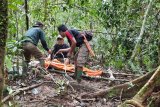 BKSDA Bengkulu meninggal saat survei gajah liar