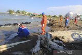 Petugas Pertamina RU VI Balongan melakukan patroli dan pembersihan ceceran minyak mentah di sekitar pantai wisata Balongan Indah, Indramayu, Jawa Barat, Sabtu (7/11/2020). Pencemaran ceceran minyak mentah yang terjadi sejak dua pekan itu mencemari kawasan pesisir pantai sepanjang 10 km serta sejumlah objek wisata pantai dan belum ada pihak yang bertanggung jawab. ANTARA JABAR/Dedhez Anggara/agr
