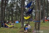 Pengunjung duduk di ayunan (hammock) yang dipasang di pohon pinus di Hutan Pinus, Darmacaang, Kabupaten Ciamis, Jawa Barat, Minggu (8/11/2020). Tempat wisata tersebut kembali dibuka usai tutup akibat pandemi COVID-19. ANTARA JABAR/Adeng Bustomi/agr