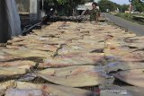 Pekerja menjemur ikan jambal kering di desa Pabean udik, Indramayu, Jawa Barat, Senin (9/11/2020). Kementerian Kelautan dan Perikanan per 31 Oktober 2020 telah menyalurkan bantuan pinjaman modal perikanan sebesar Rp601 miliar untuk nelayan, pembudidaya, pengolah dan pemasar hasil perikanan, petambak garam serta pelaku usaha di wilayah pesisir. ANTARA JABAR/Dedhez Anggara/agr
