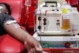 Pasien sembuh COVID-19 mendonorkan plasma darahnya di Unit Tranfusi Darah (UTD) PMI Sidoarjo, Jawa Timur, Senin (9/11/2020). Stok Plasma konvalesen atau plasma darah dari pasien yang sembuh COVID-19 yang bertujuan untuk membantu penyembuhan dan terapi pasien terkonfirmasi COVID-19 semakin menipis karena PMI kesulitan mencari pendonor. Antara Jatim/Umarul Faruq/zk