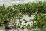 Sejumlah anggota TNI dan Satgas Citarum Harum melakukan kerja bakti membersihkan sungai di Daerah Aliran Sungai (DAS) Citarum, Klari, Karawang, Jawa Barat, Selasa (10/11/2020). Aksi bersih DAS Citarum tersebut untuk mengurangi sampah dan tanaman liar di aliran sungai agar terhindar dari banjir khususnya saat curah hujan mulai tinggi seperti beberapa waktu terakhir. ANTARA JABAR/M Ibnu Chazar/agr