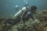 Penyelam dari komunitas Tunas Bahari Maluku melakukan aksi bersih sampah plastik di perairan Pulau Haruku, Maluku, Selasa (10/11/2020). Aksi bersih laut tersebut dilakukan dalam rangka peringatan Hari Pahlawan. ANTARA FOTO/Muhammad Adimaja/pras.