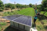 Petani membersihkan permukaan panel surya (solar cell) di area lahan tumpang sari miliknya di Kelurahan Karanganyar, Indramayu, Jawa Barat, Kamis (12/11/2020). Petani memanfaatkan pembangkit listrik tenaga surya sebagai sumber energi lampu penerangan serta menghidupkan pompa air guna mengairi sawah dan kebun palawija. ANTARA FOTO/Dedhez Anggara/nym.
