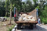 Petugas gabungan di Minahasa Tenggara amankan ratusan penambang liar
