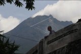 BPPTKG: Gunung Merapi  mengalami 59 kali gempa guguran