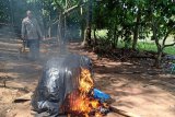 Polisi gerebek lokasi judi sabung ayam