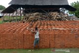 Pekerja menata batu bata di salah satu usaha batu bata rakyat, desa Lamsenong, Kecamatan Baitussalam, Kabupaten Aceh Besar, Aceh, Rabu (18/11/2020). Sejumlah pengusaha di daerah industri batu bata rakyat itu menyatakan, produksi batu bata mereka berjalan normal dan tidak terdampak pandemi COVID-19 karena permintaan masih stabil dengan harga penjualan Rp650 per bata. Antara Aceh/Ampelsa.