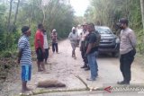 Warga Papua palang jalan trans tiga kabupaten