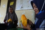Pekerja memperlihatkan buah mangga yang dikupas dengan teknik pisang di perkebunan Freshmangoes Desa Ketowan, Arjasa, Situbondo, Jawa Timur, Jumat (20/11/2020). Perkebunan tersebut memproduksi mangga yang bisa dikupas dengan teknik mengupas seperti pisang dan alpukat dengan harga jual mulai Rp17 ribu per kilogram serta dipasarkan ke Malaysia. Antara Jatim/Seno/um