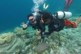 Wamendes PDTT optimistis Wakatobi jadi destinasi wisata unggulan Indonesia