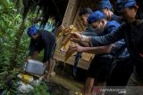 Tetua adat Baduy musnahkan madu palsu sebanyak satu drum dan 20 botol