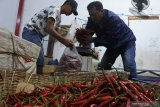 Pembeli memilih cabai besar merah di Pasar Tanjung Jember, Jawa Timur, Kamis (26/11/2020). Dalam seminggu terakhir harga berbagai jenis cabai mengalami kenaikan, seperti harga cabai besar merah dari Rp25.000 per Kg menjadi Rp29.000 per Kg, cabai rawit merah dari Rp22.000 per Kg menjadi Rp30.000 per Kg, dan cabai rawit hijau dari Rp8.000 per Kg menjadi Rp10.000 per Kg akibat musim hujan dan pasokan berkurang. Antara Jatim/Seno/Um