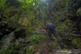 Wisata Goa Lowo Di Kalsel. Wisatawan menaiki tanjakan menuju puncak bendera di Goa Lowo di Desa Tegalrejo, Kabupaten Kotabaru, Kalimantan Selatan, Kamis (26/11/2020). Goa alam tersebut selain menawarkan keindahan alam juga menawarkan jalur yang cukup menantang bagi wisatawan yang hendak ke puncak Goa tersebut serta ditunjang berbagai macam fasilitas wisata lainnya yang dikelola oleh kelompok sadar wisata (pokdarwis) setempat dengan harga tiket masuk sebesar Rp5.000 per orang. Foto Antaranews Kalsel/Bayu Pratama S.