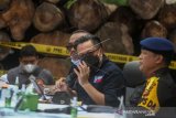 Amankan Kayu Ilegal Dari SM Rimbang Baling