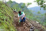 Penanaman 67.000 pohon di Kudus libatkan petani