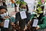 Pemuda Peduli Lingkungan Bersih dan Asri Sidoarjo menunjukkan bibit pohon untuk dibagikan kepada warga di Pendopo Alun Alun Sidoarjo, Jawa Timur, Minggu (29/11/2020). Pembagian 1000 bibit pohon dengan menukarkan botol bekas tersebut dalam rangka hari jeda untuk iklim dan hari menanam pohon Indonesia. Antara Jatim/Umarul Faruq/Mas