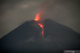 Guguran lava pijar Gunung Semeru terlihat dari Desa Oro oro Ombo, Pronojiwo, Lumajang, Jawa Timur, Rabu (2/12/2020). Aktivitas vulkanik Gunung Semeru di Jawa Timur meningkat sejak sepekan terakhir dengan intensitas 13 kali guguran lava pijar dengan jarak luncur 500 hingga 1.000 dari pusat guguran gunung dan status Siaga level II atau waspada. Antara Jatim/Umarul Faruq/Mas