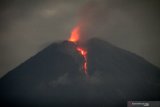 Erupsi  Semeru terjadi tidak terus menerus