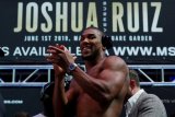 1.000 penonton boleh saksikan langsung duel petinju Joshua vs Pulev