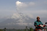 Gunung Semeru mengeluarkan material vulkanik terpantau dari desa Oro Oro Ombo, Pronojiwo, Lumajang, Jawa Timur, Kamis (3/12/2020). Pusat Vulkanologi dan Mitigasi Bencana Geologi (PVMBG) menghimbau masyarakat tidak melakukan aktivitas di radius 1 km dan wilayah sejauh 4 km di sektor lereng selatan-tenggara kawah aktif yang merupakan wilayah bukaan kawah aktif Gunung Semeru sebagai alur luncuran awan panas. Antara Jatim/Umarul Faruq/Mas