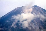 Jalur aliran lahar panas Gunung Semeru terpantau dari desa Oro Oro Ombo, Pronojiwo, Lumajang, Jawa Timur, Kamis (3/12/2020). Pusat Vulkanologi dan Mitigasi Bencana Geologi (PVMBG) menghimbau masyarakat tidak melakukan aktivitas di radius 1 km dan wilayah sejauh 4 km di sektor lereng selatan-tenggara kawah aktif yang merupakan wilayah bukaan kawah aktif Gunung Semeru sebagai alur luncuran awan panas. Antara Jatim/Umarul Faruq/Mas