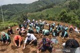 Sejumlah siswa SMK Negeri 1 Panjalu mengikuti gerakan menanam jahe merah di Desa Hujungtiwu, Panjalu, Kabupaten Ciamis, Jawa Barat, Kamis (3/12/2020). Sekolah kejuruan ini berinovasi menanam jahe merah di lahan milik pemerintah desa seluas lima hektare, bekerjasama dengan perusahaan swasta dan kelompok tani untuk membina para siswa jurusan Agribisnis Tanaman Pangan dan Hortikultura (ATPH) agar bisa menjaga ketahanan pangan dan bisa memaanfaatkan peluang potensi pertanian setelah lulus sekolah. ANTARA JABAR/Adeng Bustomi/agr