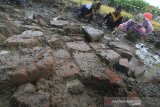 Tim arkeolog dari Balai Pelestarian Cagar Budaya (BPCB) Banten dibantu warga membersihkan lokasi penggalian situs yang diduga bangunan candi di desa Sambimaya, Indramayu, Jawa Barat, Sabtu (5/12/2020). Balai Pelestarian Cagar Budaya (BPCB) Banten bekerjasama dengan Tim Ahli Cagar Budaya (TACB) Indramayu melakukan ekskavasi dan pengkajian serta penelitian terhadap struktur batu bata kuno yang diduga bangunan candi. ANTARA JABAR/Dedhez Anggara/agr