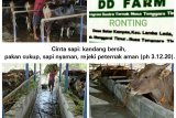 DD Farm: Program Pemberdayaan Kaum Miskin