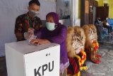 Petugas Kelompok Penyelenggara Pemungutan Suara (KPPS) memandu pemilih memasukkan surat suara ke kotak suara di sebuah TPS yang dihiasi barongan Reog Ponorogo saat Pilkada di Kabupaten Ponorogo, Jawa Timur, Rabu (9/12/2020). Pilkada Kabupaten Ponorogo diikuti dua pasangan calon bupati-wakil bupati, yaitu Sugiri Sancoko-Lisdyarita dan Ipong Musclissoni-Bambang Tri Wahono dengan jumlah pemilih yang terdaftar di KPU setempat 759.045 orang. Antara Jatim/Siswowidodo/mas.