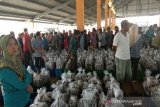 Realisasi PAD sektor perikanan Pekalongan lampaui target