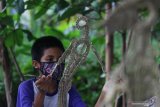 Seorang anak dari Sanggar Anak Merdeka Indonesia mementaskan wayang suket di Surabaya, Jawa Timur, Selasa (15/12/2020). Kegiatan tersebut bertujuan untuk memberikan ruang kreatifitas pada anak di tengah pandemi COVID-19 sekaligus mengenalkan khazanah budaya Indonesia melalui wayang suket. Antara Jatim/Moch Asim.